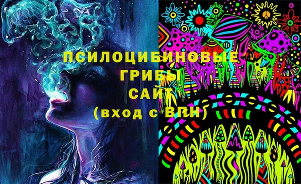a pvp Аркадак